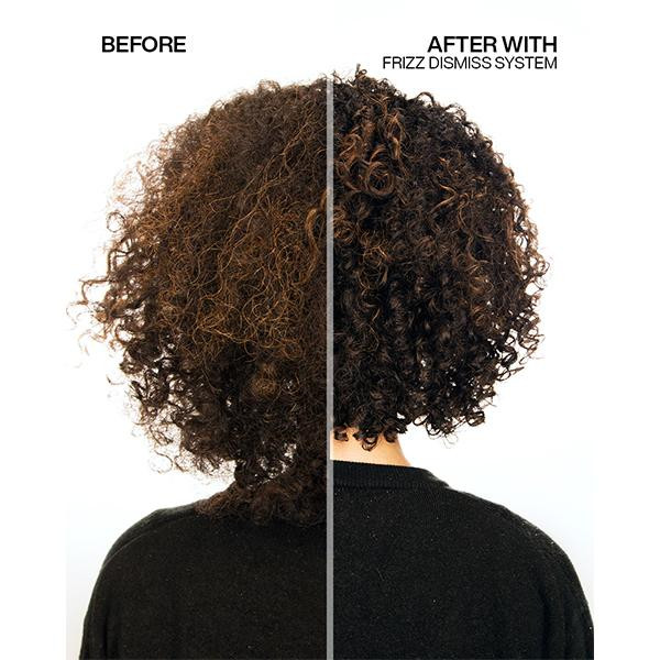 Frizz Dismiss Rebel Tame 8.5oz FPF40