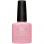 Shellac Blush Teddy 7.3ml