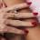 Shellac Love Fizz 0.25oz
