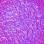 Feelin' Libra-ted - Gel