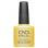 Shellac Char-Truth 0.25oz