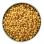 Hard Wax Beads - Golden 14oz
