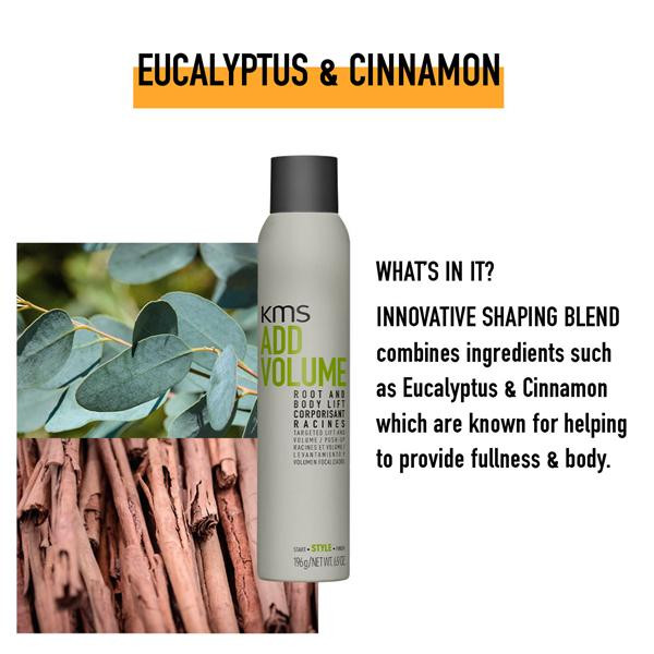 Add Volume Root & Body Lift 6.8oz