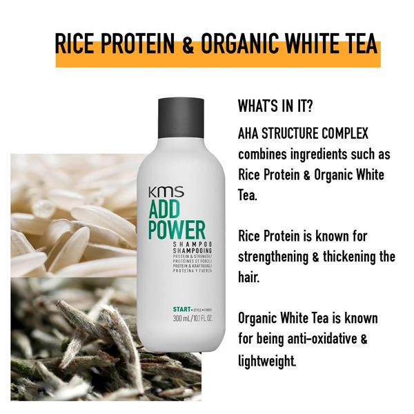 Add Power Shampoo 10.1oz