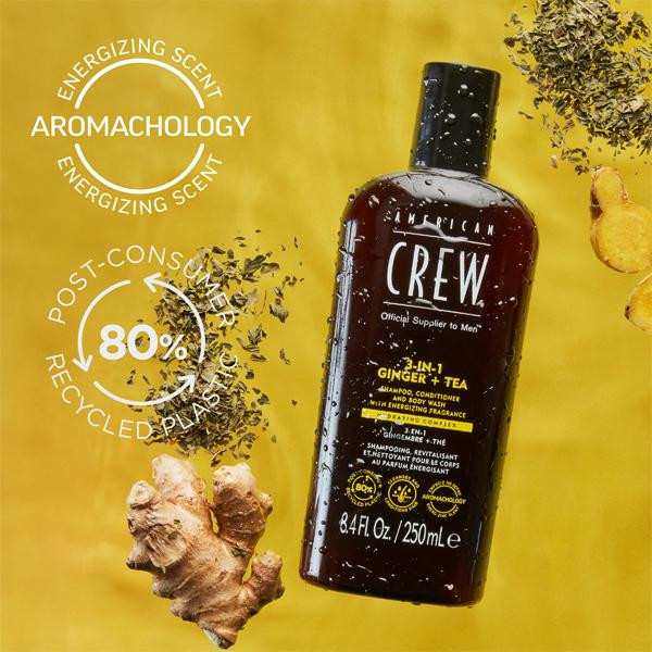 3-in-1 Ginger + Tea 15.2 fl oz