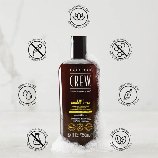 3-in-1 Ginger + Tea 15.2 fl oz