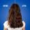 All In One Hair Treatment - Limited Edition 5.1oz
