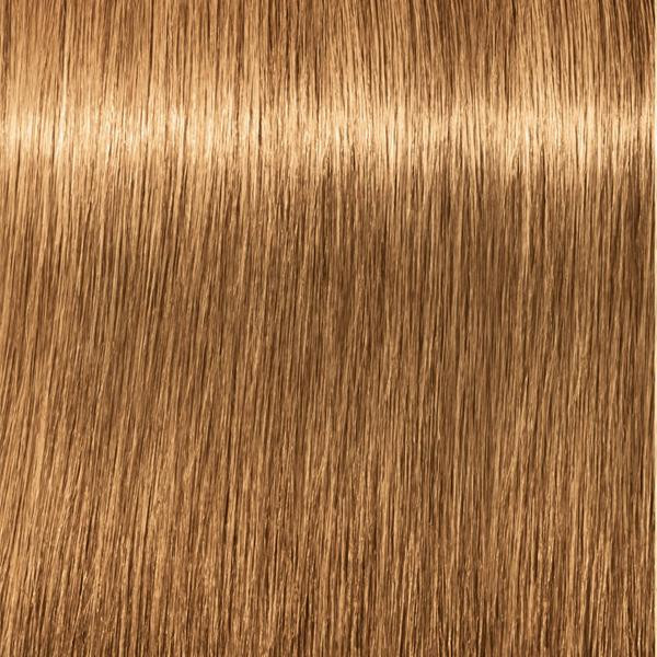 Schwarzkopf Professional Igora Royal 8-55