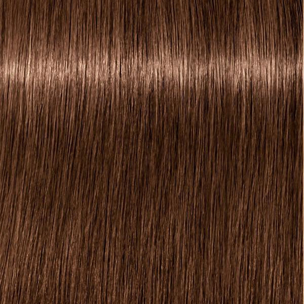Schwarzkopf Professional Igora Royal 6-6