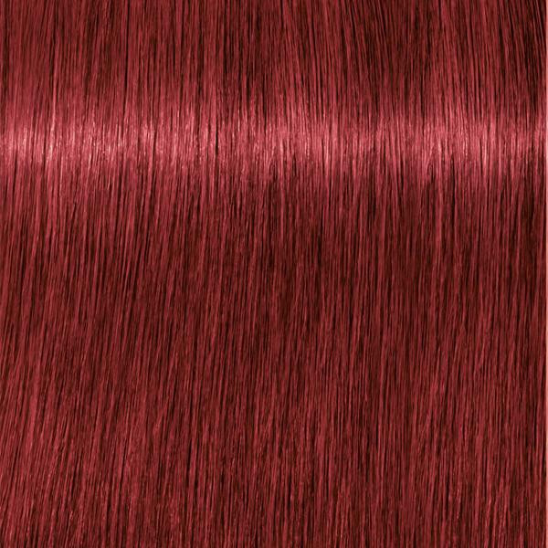 Schwarzkopf Professional Igora Royal 6-88