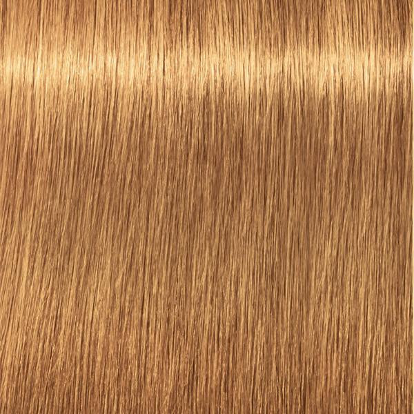 Schwarzkopf Professional Absolutes - 9-560