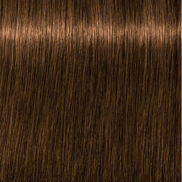 Schwarzkopf Professional Absolutes - 6-50