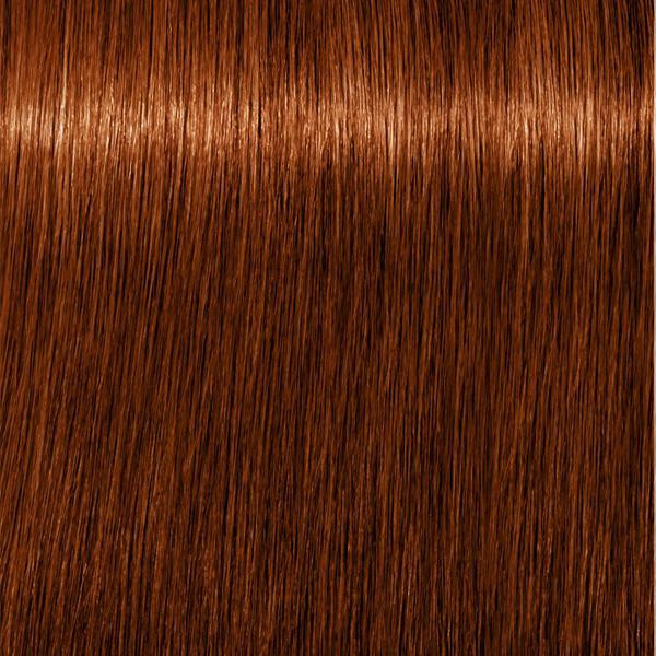 Schwarzkopf Professional Absolutes - 6-70