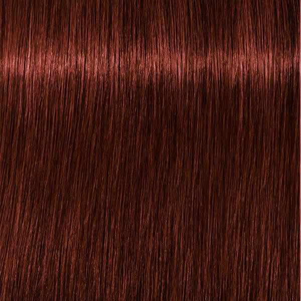 Schwarzkopf Professional Absolutes - 5-80