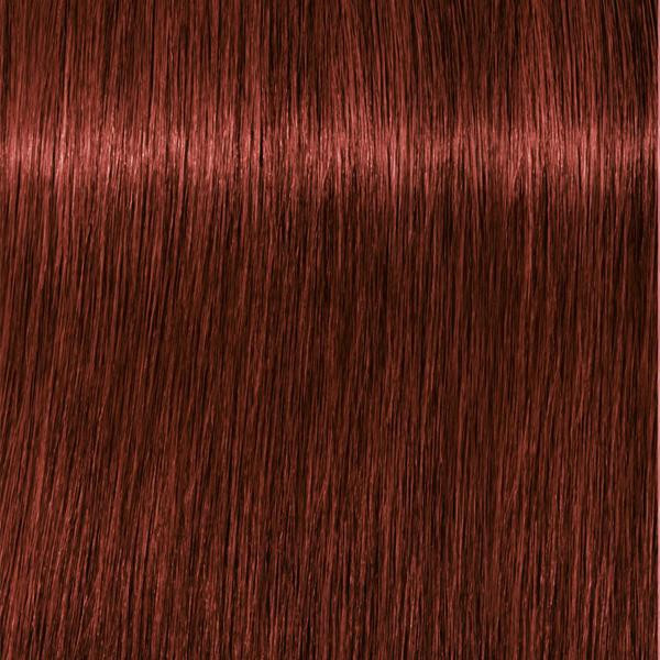 Schwarzkopf Professional Absolutes - 6-80