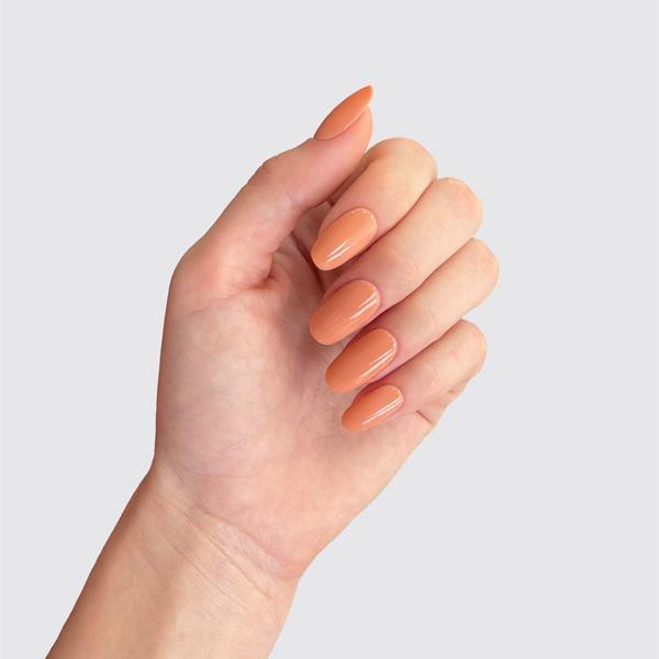 Plexigel Builder - Peach Moonstone 0.5oz