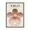 Secret Garden Clip Rose-Beige