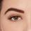 Active Lash - Gainz