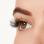 Active Lash - Gainz