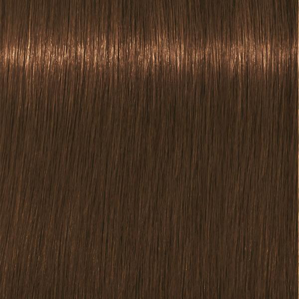 Schwarzkopf Professional Absolutes - 7-460