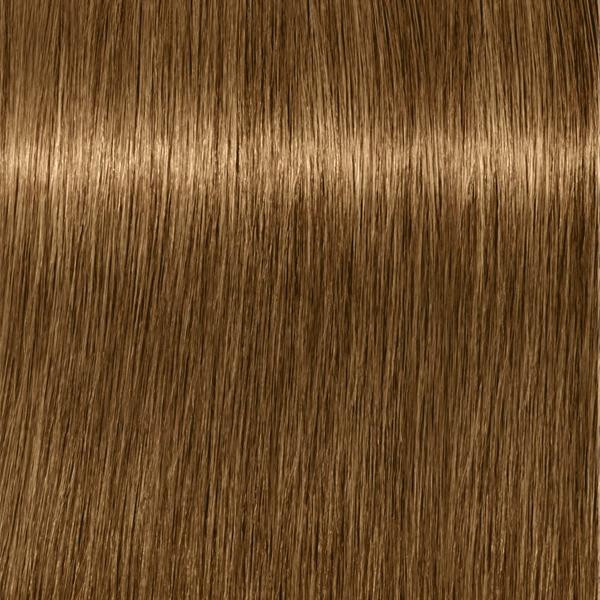 Schwarzkopf Professional Absolutes - 9-460