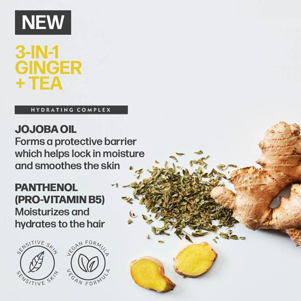 3-in-1 Ginger + Tea 33.8oz