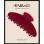 Couture Clip Red