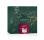 Color Glow Holiday Kit