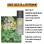Hair Play Molding Paste 5.1oz