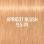 9.5-74 - Apricot Blush
