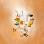Brumes du Maroc - Ambiance de plage 30ml