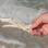 Beach Bum - Gator Grips - 4/paquet