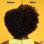 Shampoing Doux 1L