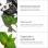 Charcoal + Tea Tree Scalp Treatment 1oz