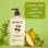 Green Tea & Pear - Body Moisturizer 17oz