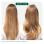 Volume Boost - Holiday Duo