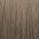 6BV Dark Beige Blonde