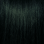 3.11 Dark Intense Green Brown