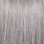 10.91 Extra Light Smokey Ash Blonde