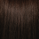 5.31 Light Golden Ash Brown