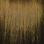 7.31 Golden Ash Blonde