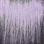 9.7 Very Light Violet Blonde