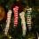Holly Days - Gator Grips -- 4/paquet