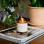 Bougie Wild Honey + Yuzu 200g